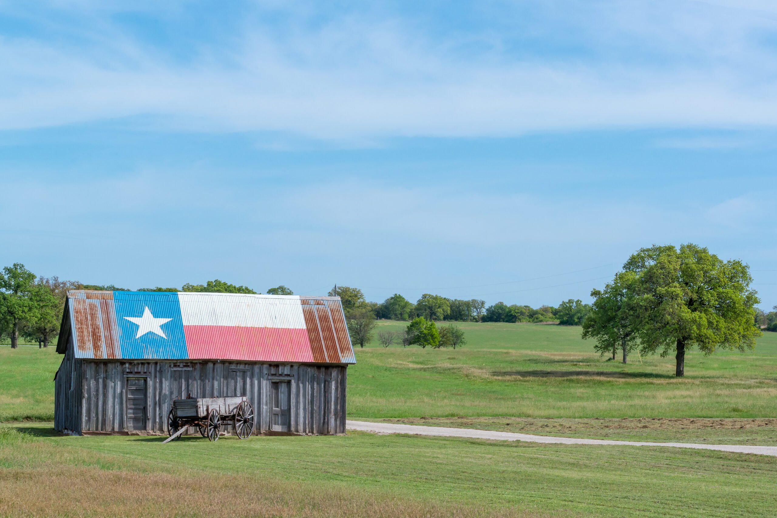 The State Needs Rural Texas - Texas 2036