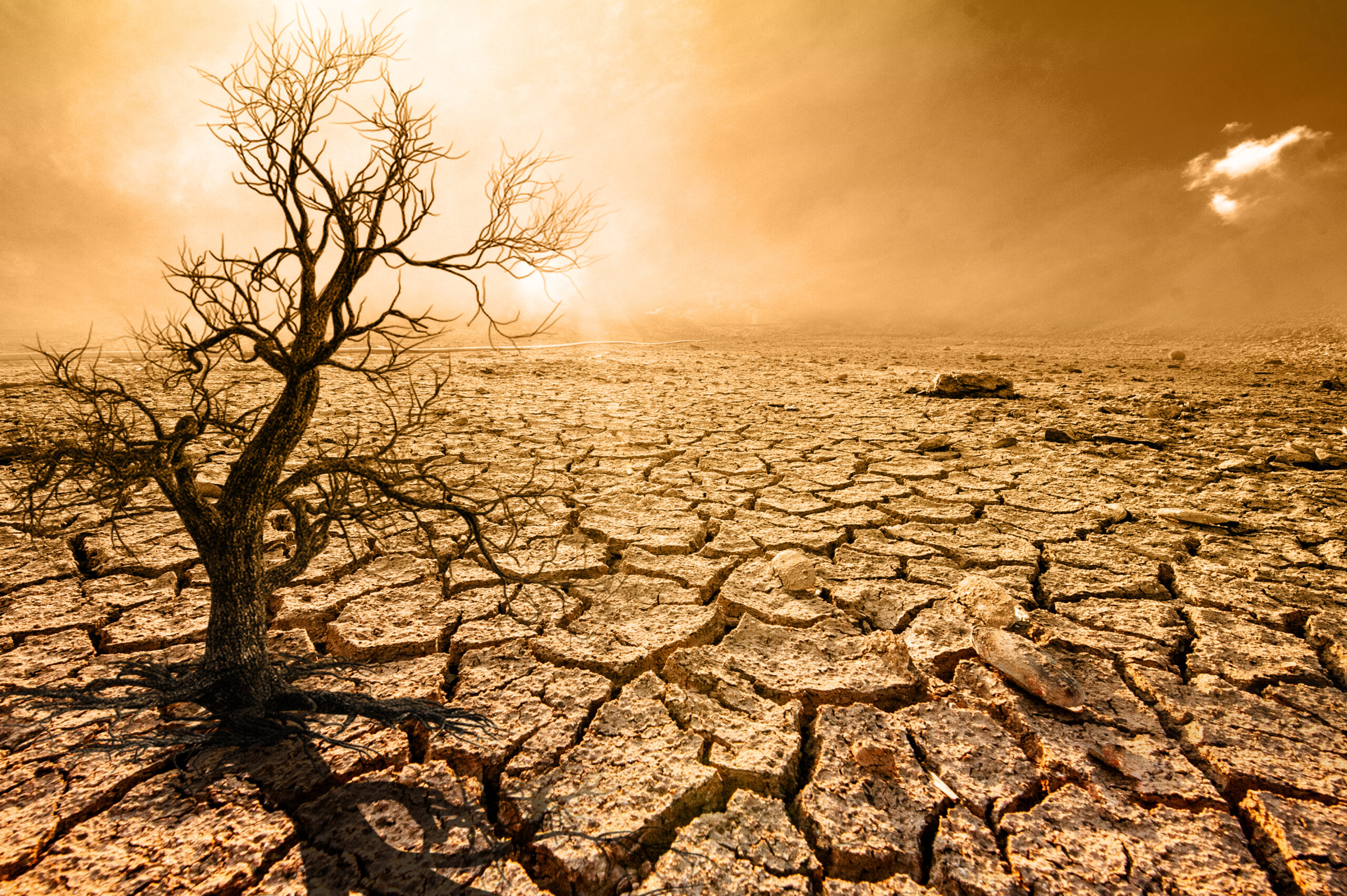 Атмосферная засуха. Пустыня засуха. Пустыня трещины. Растрескавшаяся земля. Пейзаж засухи.