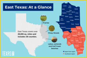 East Texas: The region at a glance - Texas 2036