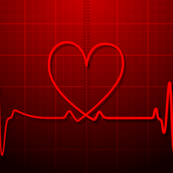 data heart