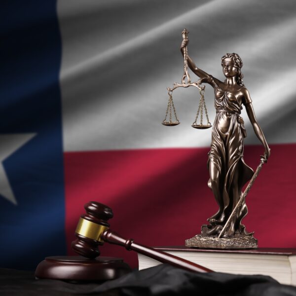 Texas judiciary case-level data