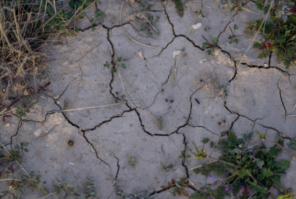 Texas resilient agenda drought image