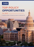 year in review newsletter lege agenda cover