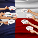 Multilingual Texas by the Numbers